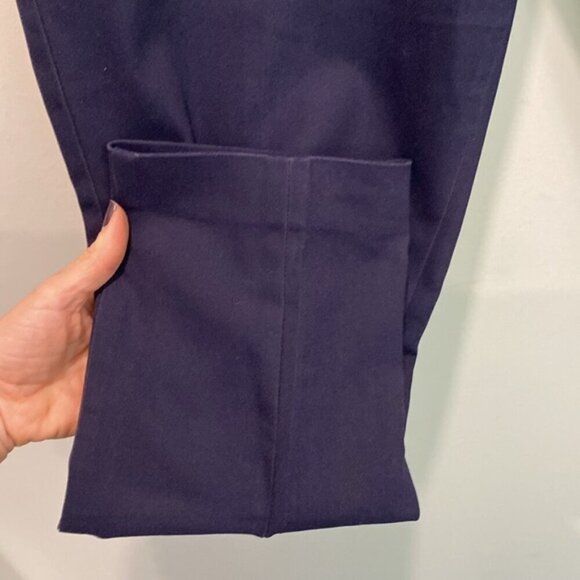 Ann Taylor Loft Blue Julie Skinny Ankle Pants Size 8 - Picture 7 of 15